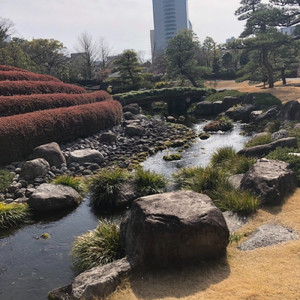 地球での思い出