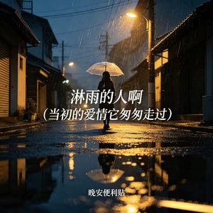 淋雨的人啊（当初的爱情它匆匆走过）