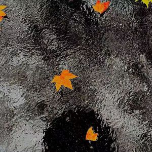 就这样看着你pt.2（Prod.47号）