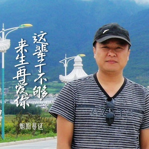 这辈子不够来生再爱你