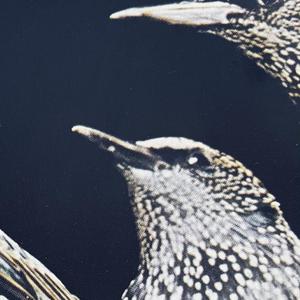 into this house we're born I