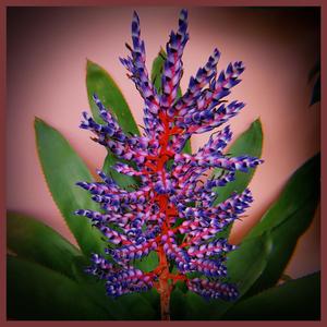 The concept of "dimension" is not restricted to physical objects.