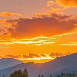 后来我们会怎样