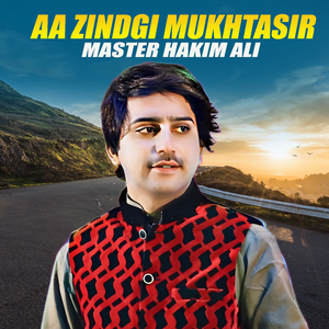 Aa Zindgi Mukhtasir