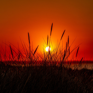 Inhlupheko (feat. DjExpo SA & Promilion) (Remix)