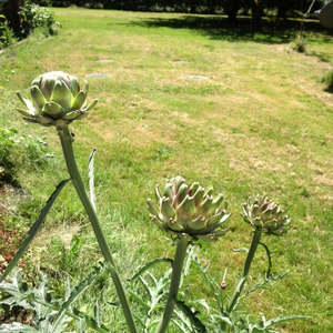 The Internationale (Eugène Pottier and Pierre De Geyter)