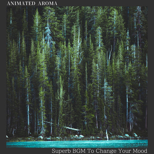 Sheltered from Worldly Noise