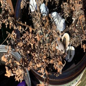 Slow and easy (feat. Panotune)