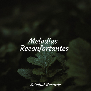 Florecimiento Del Amor