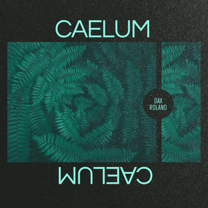 Caelum