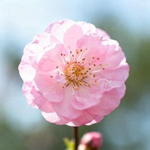 Stay with me (Cover PPR)