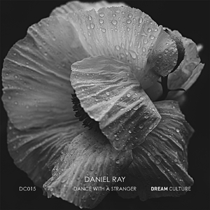 Dance With a Stranger (Rasi Z Remix)