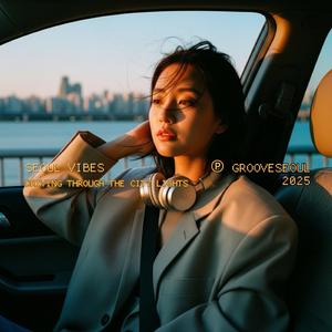 옆자리 조수석 (Passenger Seat)