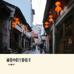 闹巷中的宁静追寻