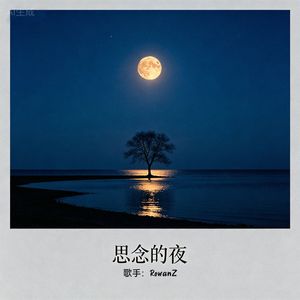 思念的夜
