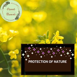 Relaxed Mountain Water