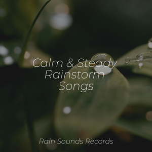 Echoes of Rust and Concrete