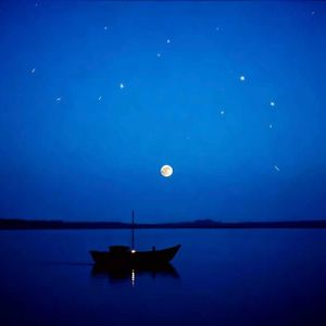 奇迹会先在理智前开花