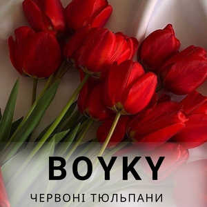 Червоні тюльпани