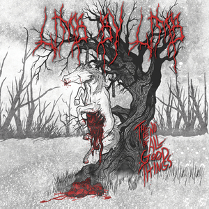 Heliosheath