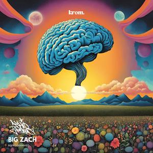 Drugs or Shoes (feat. Kanser, Big Zach, Musab & UnicusHarry) (Reprogrammed)