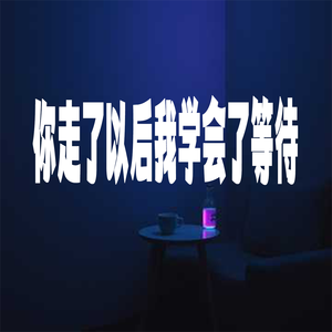 你走了以后我学会了等待