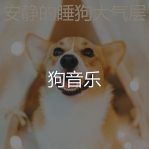 有趣幼犬情怀