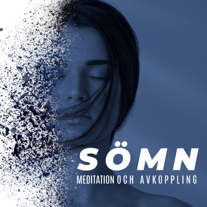 Lugna ljud för grunderna i meditation