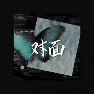 对面伴奏不带和声(1)