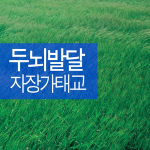 슈만 - 트로이 메라이