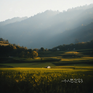 一个人想念家乡