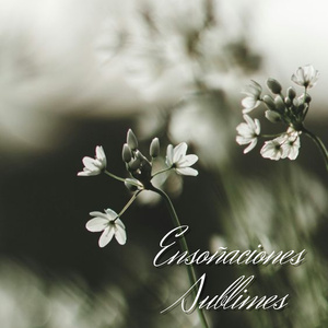Ensoñaciones Sublimes