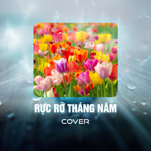 Rực Rỡ Tháng Năm (Cover)