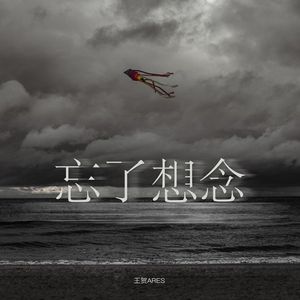 忘了想念