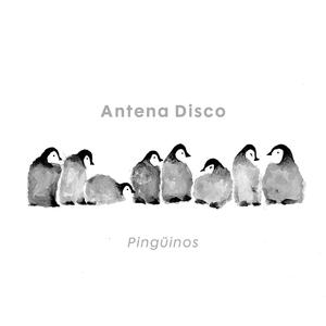 Pingüinos