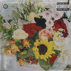 【FREE】"Rain" Guitar Type Beat