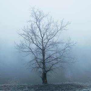 【三语版】エイミー/艾米（翻自 茅原実里）