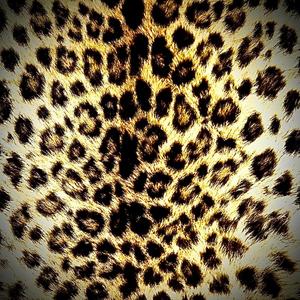 SLUTRANCE! (feat. MADAME ELECTRONiCA)