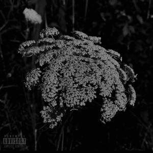Flowers When The Rain Gone (feat. Mijo & twoTurbo)