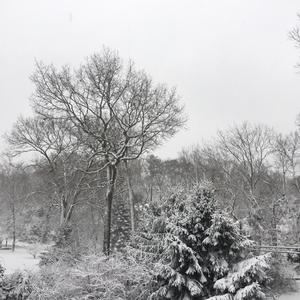 E Minor Atmospheric Folk Melody 1