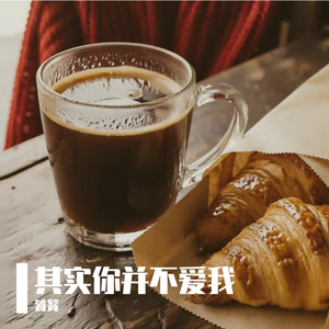 其实你并不爱我