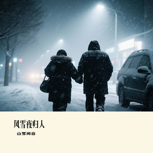 风雪夜归人