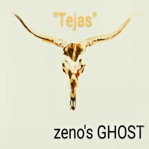 Tejas