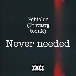 NEVER NEEDED (feat. Wawg toonk)