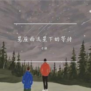 星座雨流星下的等待
