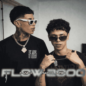 Flow 2000