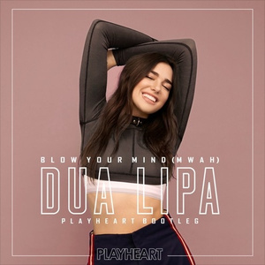 Blow Your Mind (Mwah) (PlayHeart Bootleg)
