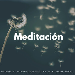 Susurros De Un Prado Sereno