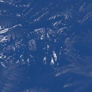 Among The Others That Are Lost