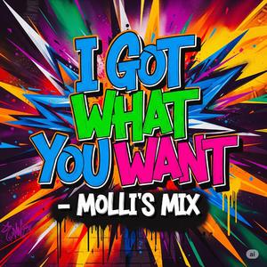 I Got What You Want (Molli's Mix)